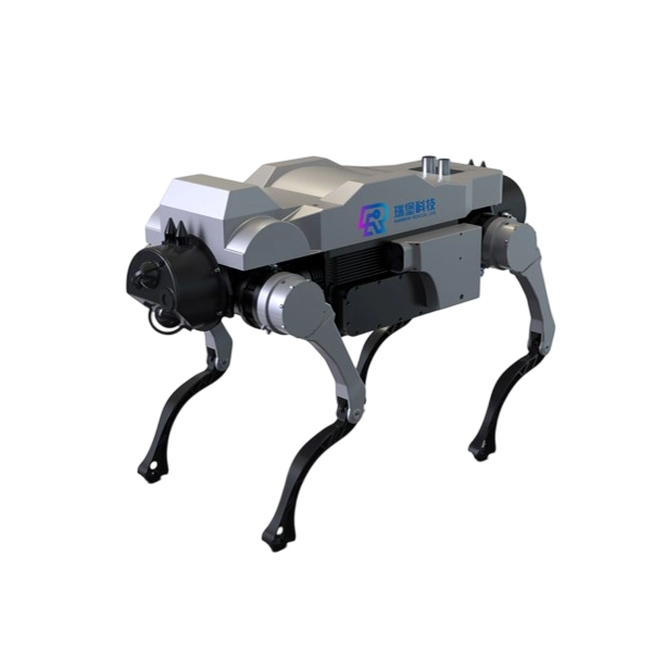 RB-WS-ROBOT/C/FB-XX0
