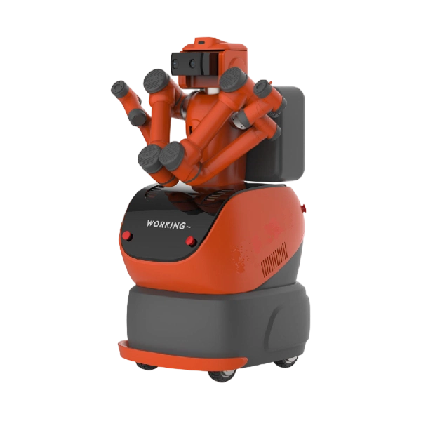 RB-WS-ROBOT/A/FB-001